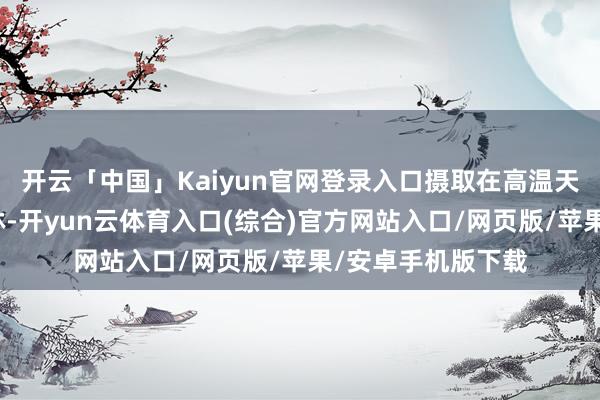 开云「中国」Kaiyun官网登录入口摄取在高温天一头扎进深山老林-开yun云体育入口(综合)官方网站入口/网页版/苹果/安卓手机版下载