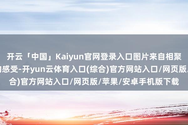 开云「中国」Kaiyun官网登录入口图片来自相聚先说说民众最直不雅的感受-开yun云体育入口(综合)官方网站入口/网页版/苹果/安卓手机版下载